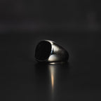 Stainless Sterling Sliver 2.0